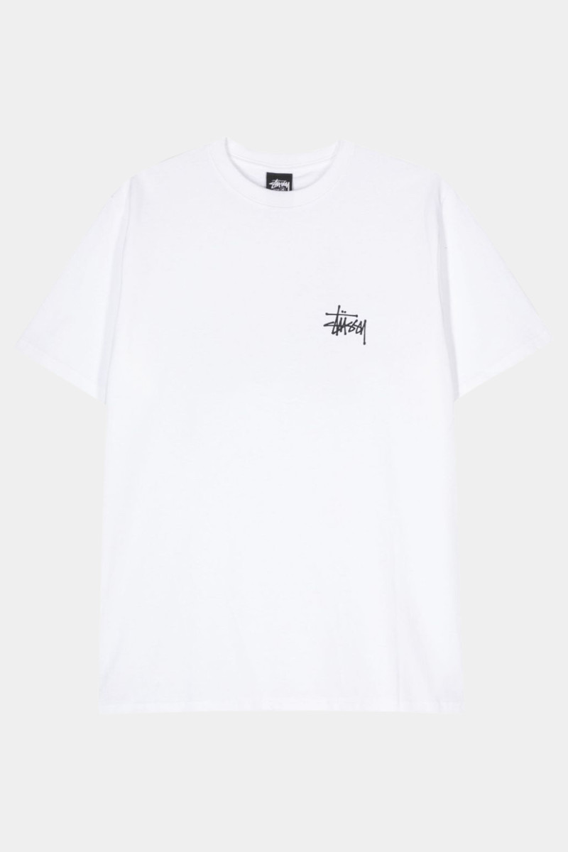 Basic Stussy Tee 1905000