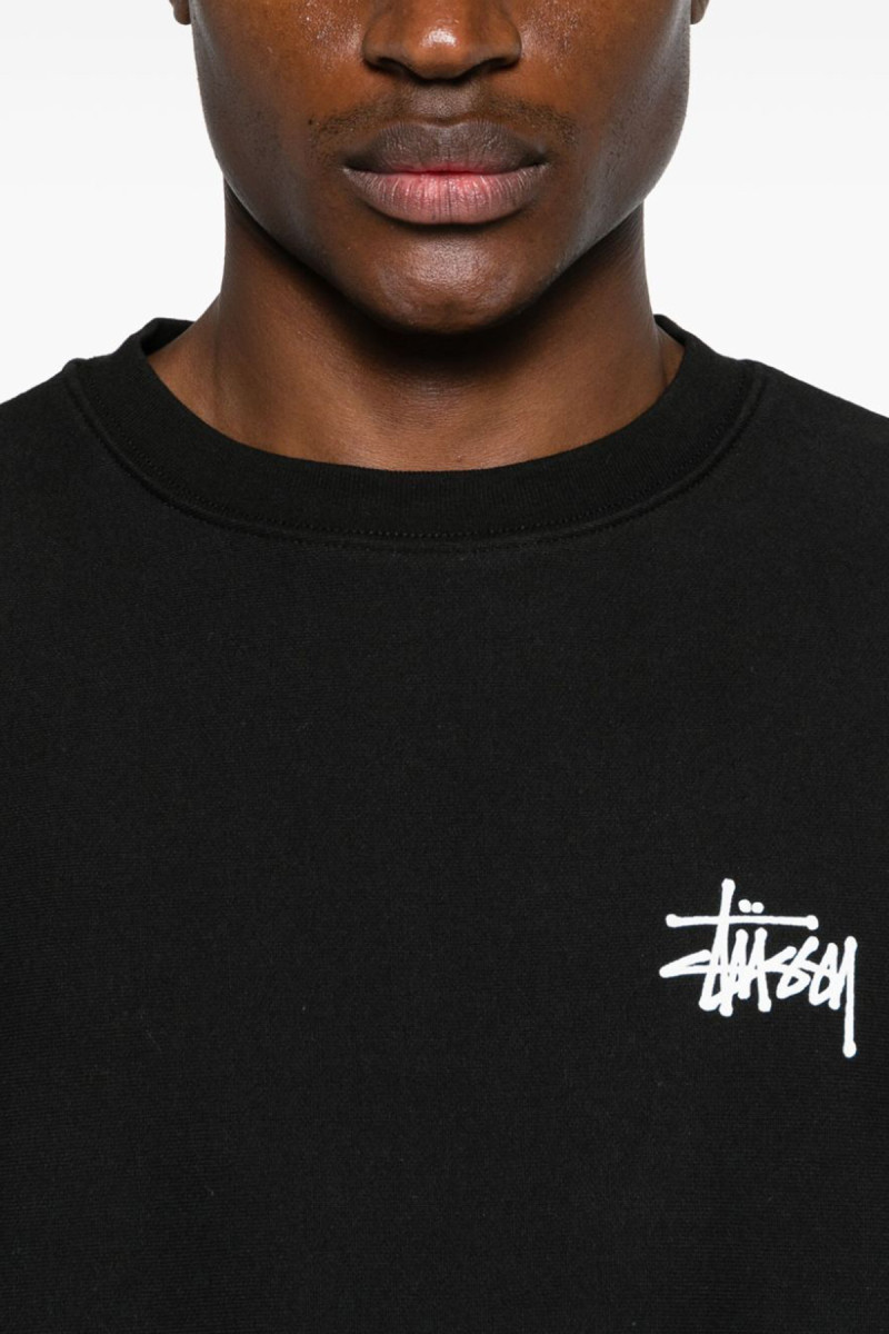 Basic Stussy Crew 1915000