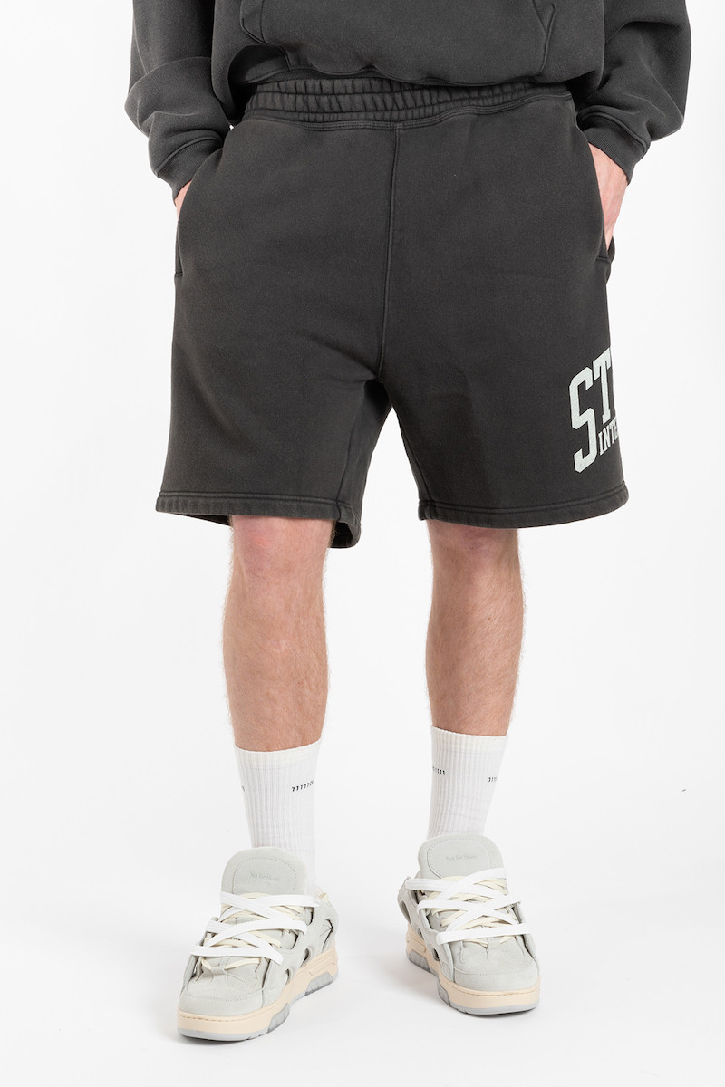 Stussy Intl Short 112318