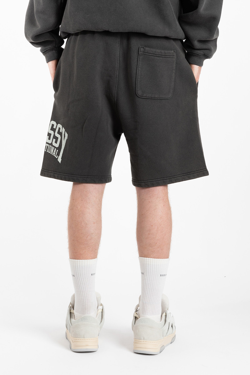 Stussy Intl Short 112318