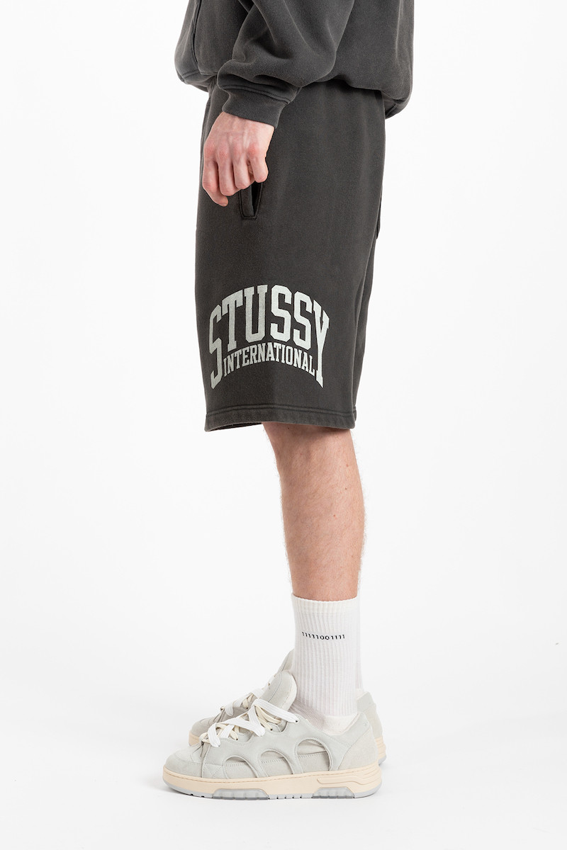 Stussy Intl Short 112318