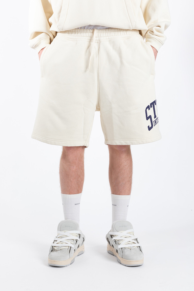 Stussy Intl Short 112318