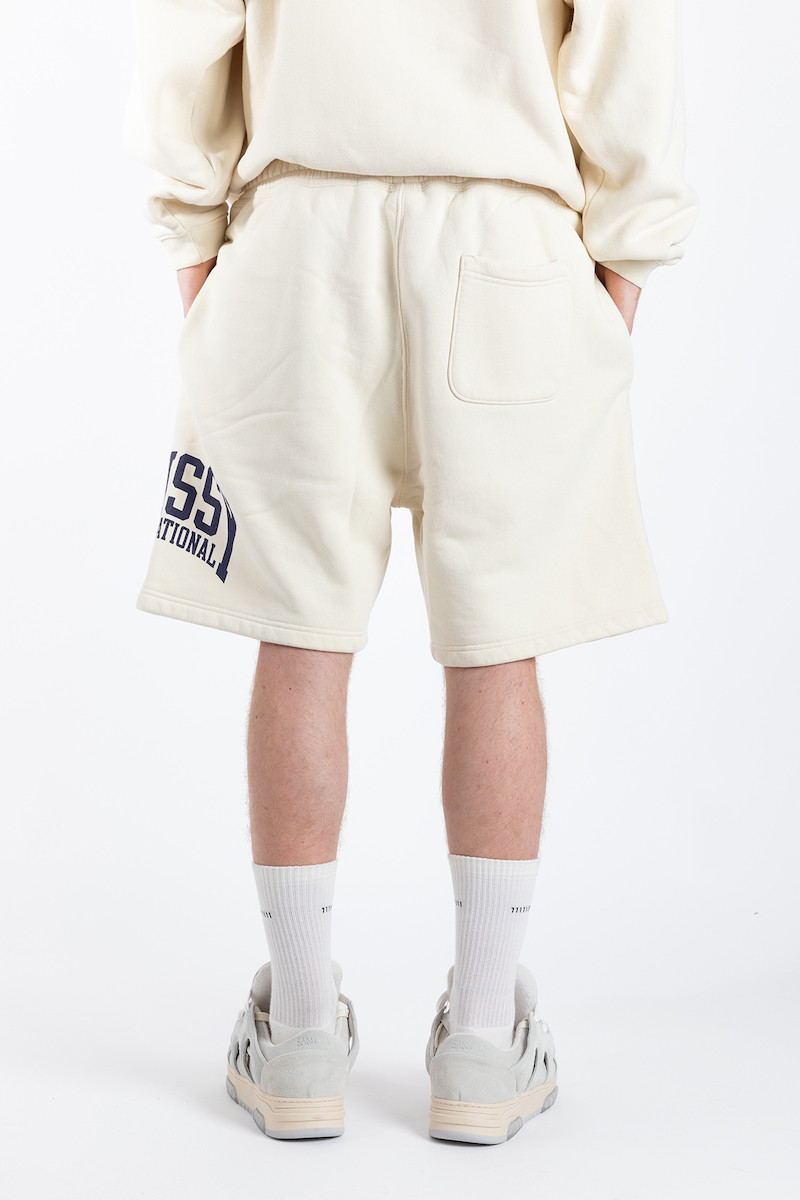 Stussy Intl Short 112318